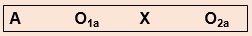 in pre experimental research designs there is no what