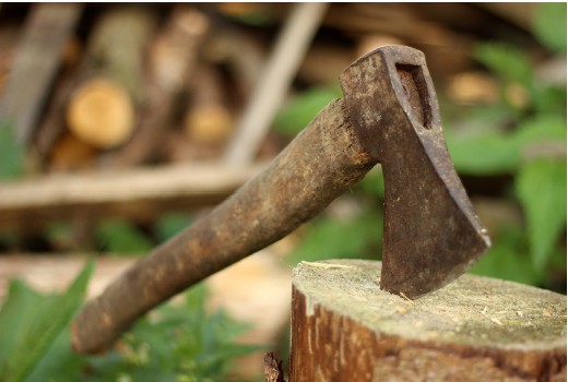 Picture of an axe in a tree