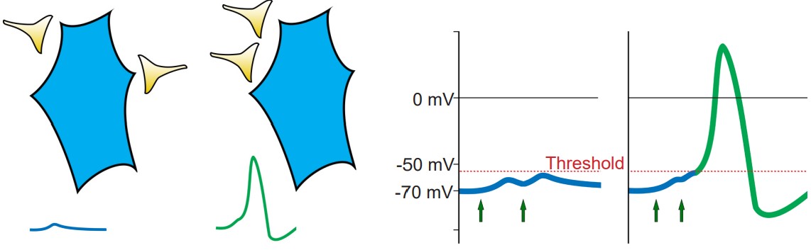 Visualization of the impact of proximity of the inputs