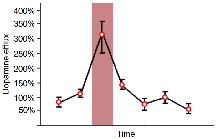 Graph between Dopamine levels and Time with dopamine levels rising to 300% when animals look for food