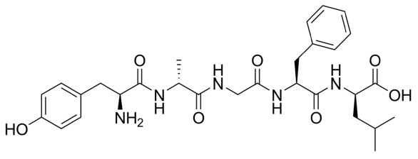 Enkephalin structure