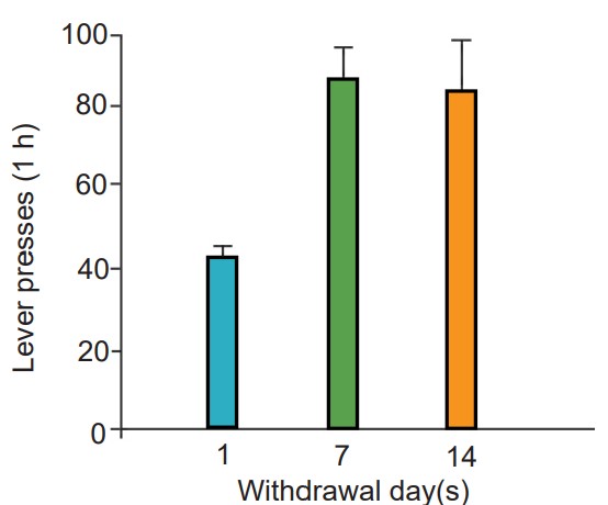 Graph showing how, when withdrawing, drug cravings increase over time