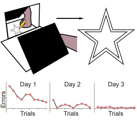 Set-up for the mirror tracing memory task with the improvements in results over 3 days