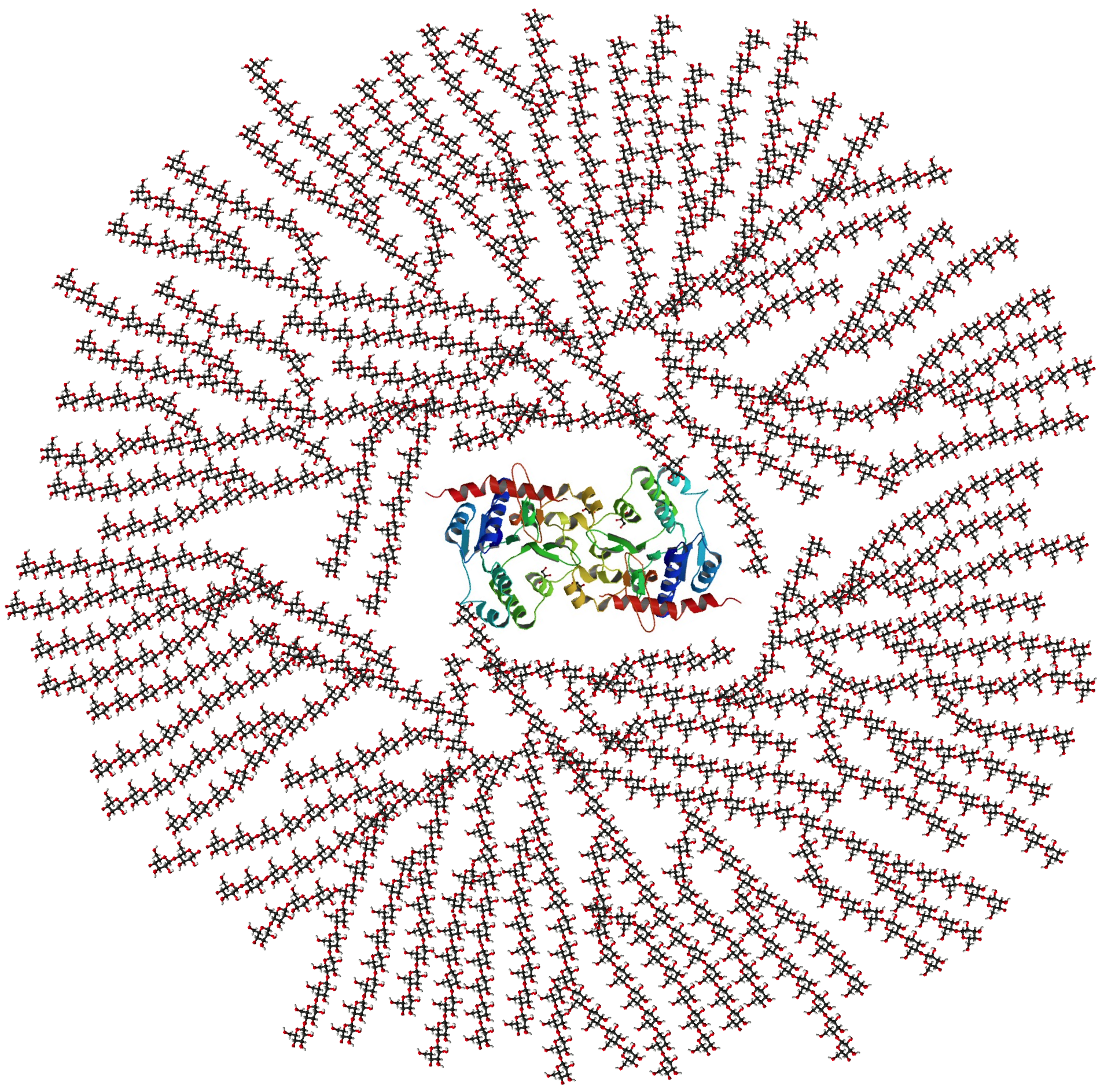 The image is an illustration depicting glycogen, showing a three-dimensional protein at the center (looks like colorful, curled ribbons), and radiating from it are long, branching chains of glucose.