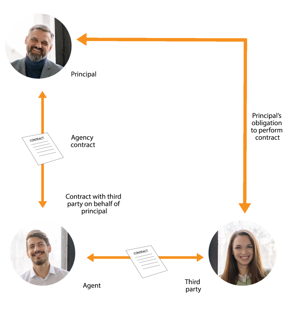 Graph showing the agency relationship. The agent (bottom left) points to the Third party (bottom right) with a contract. This is a contract with the third party on behalf of the principal (top left). The agent also points to the principal with the contract. Then, the Principal is connected with the Third party through the Principal’s obligation to perform the contract.