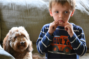 Child sitting on a couch with a dog