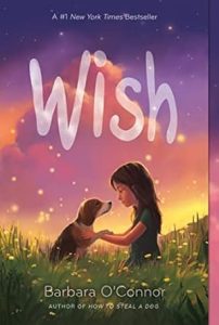 The book cover for Wish
