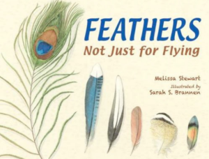 The book cover for Feathers Not Just for Flying