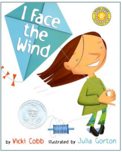 The book cover for I Face the Wind