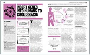 A thumbnail of a pamphlet about germs with sections divided with headings and subheadings