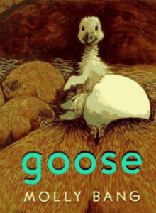 The book cover for Goose