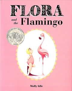 The book cover for Flora and the Flamingo